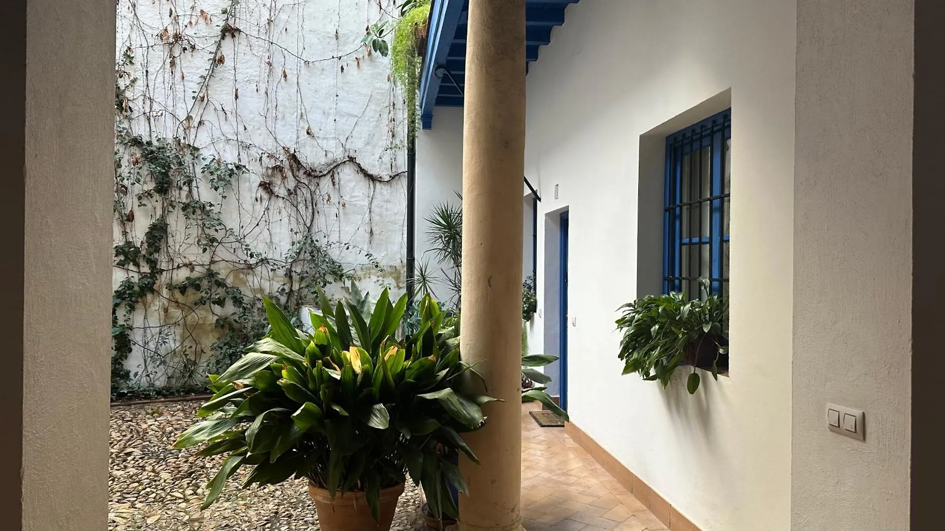Vidrio 30-32 Apartment Seville